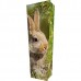We Love Rabbits (Pet Animal) - Personalised Picture Coffin with Customised Design.